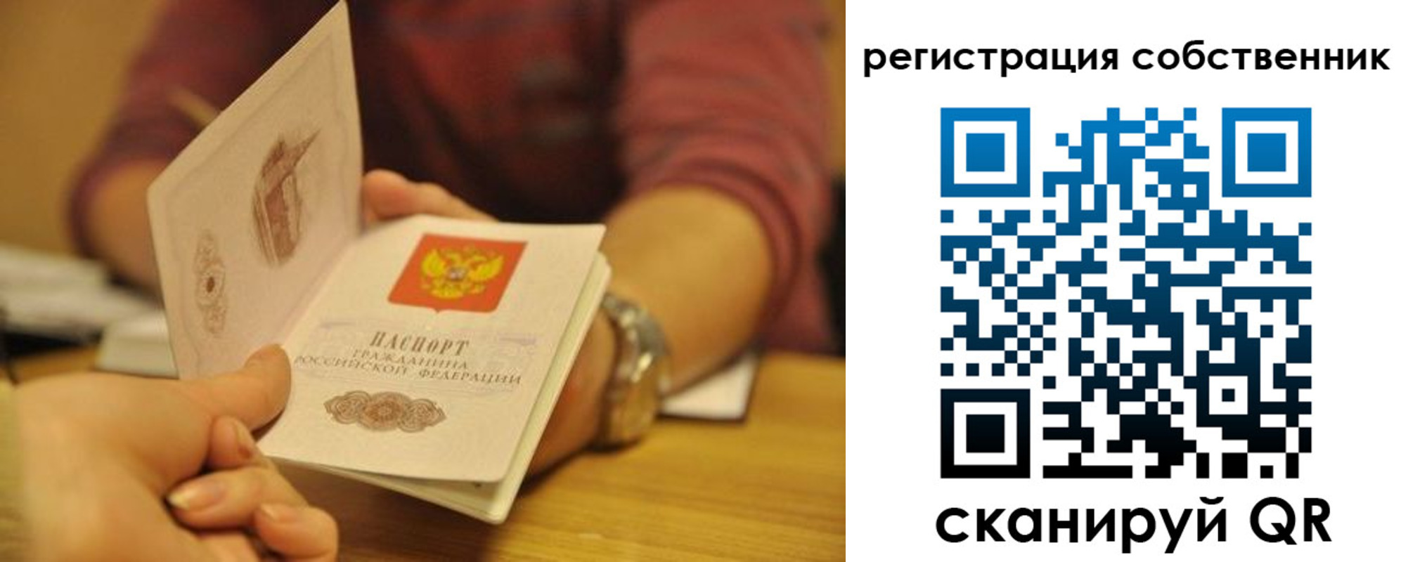 временная регистрация поиск в Чкаловске